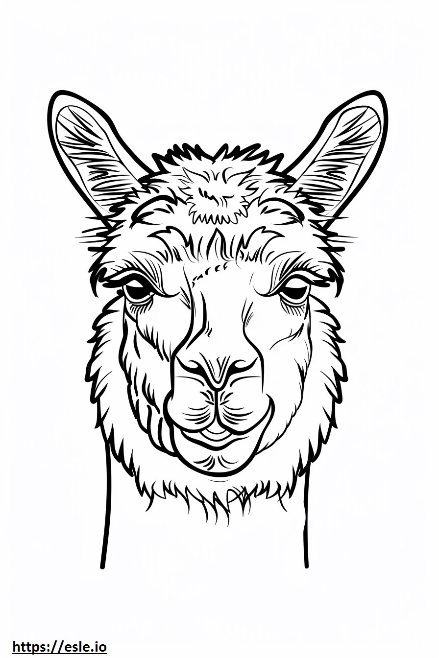 Alpaca-gezicht kleurplaat kleurplaat