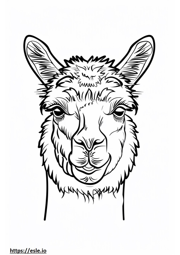 Alpaca-gezicht kleurplaat