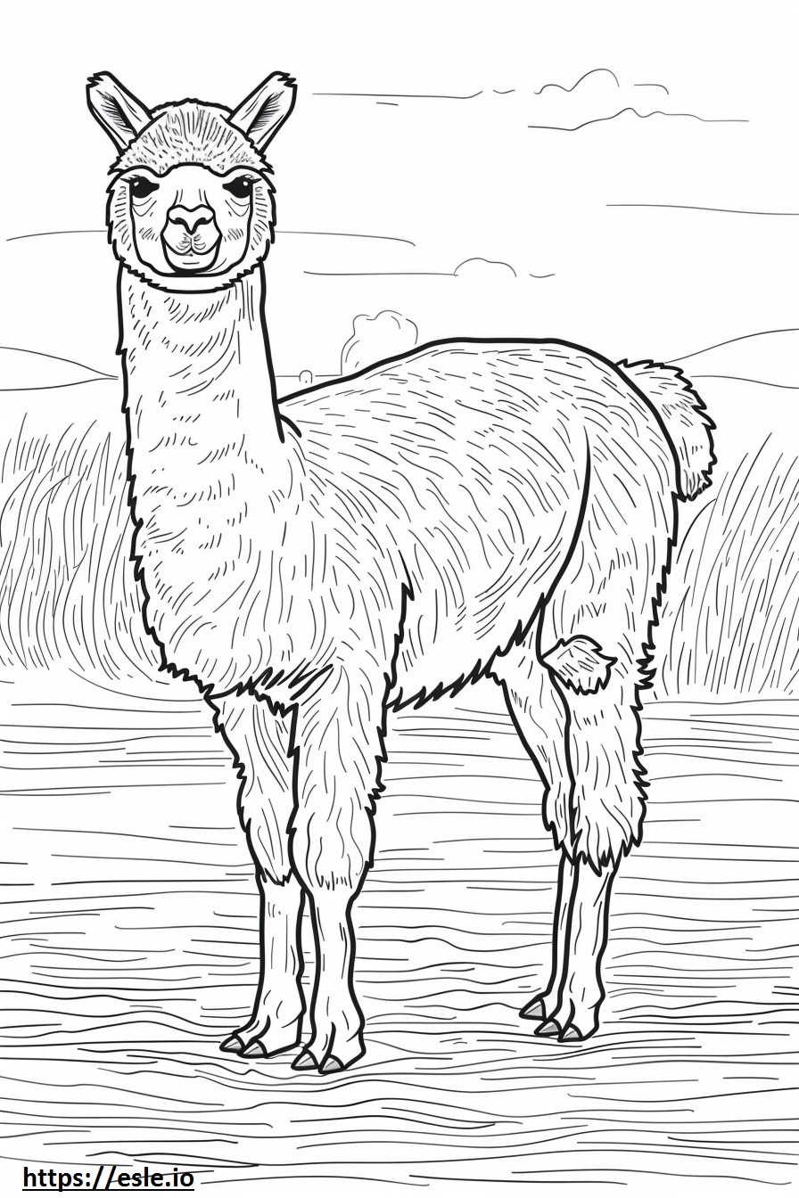 Alpaca happy coloring page