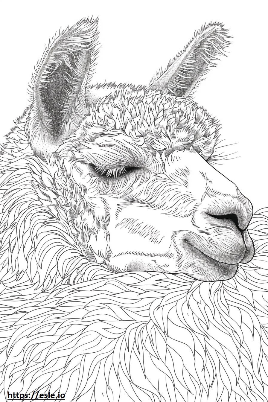 alpaca durmiendo para colorear e imprimir