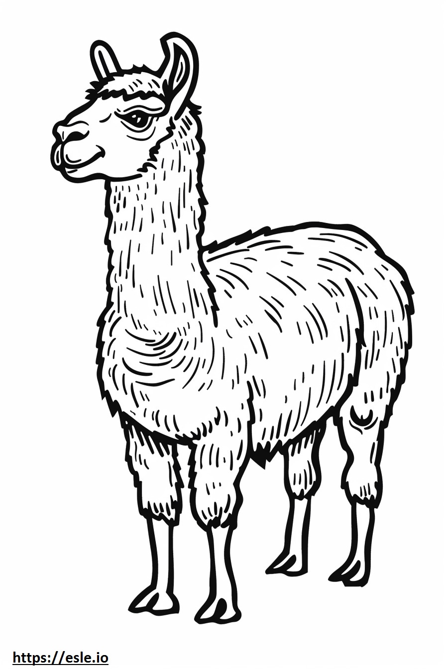 Alpaca Playing coloring page