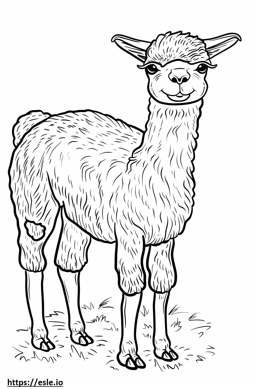 Alpaca Friendly coloring page