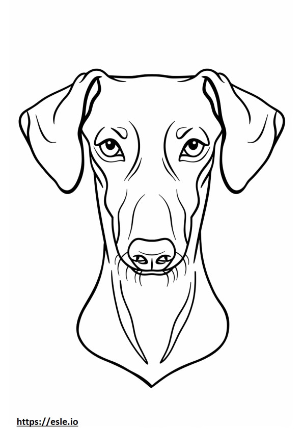 Cara de perro salchicha alpino para colorear e imprimir