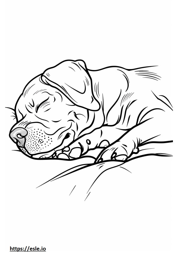 Perro salchicha alpino durmiendo para colorear e imprimir
