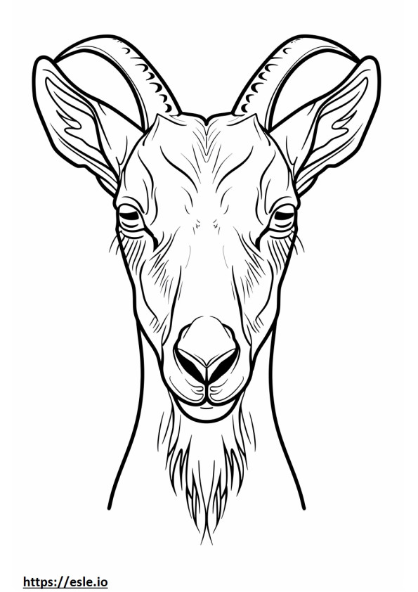 Alpine Goat face coloring page