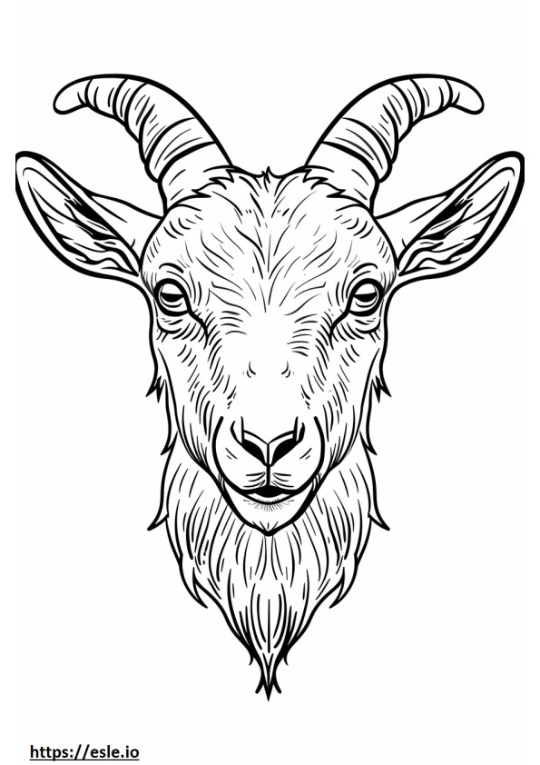 Alpine Goat kasvot värityskuva