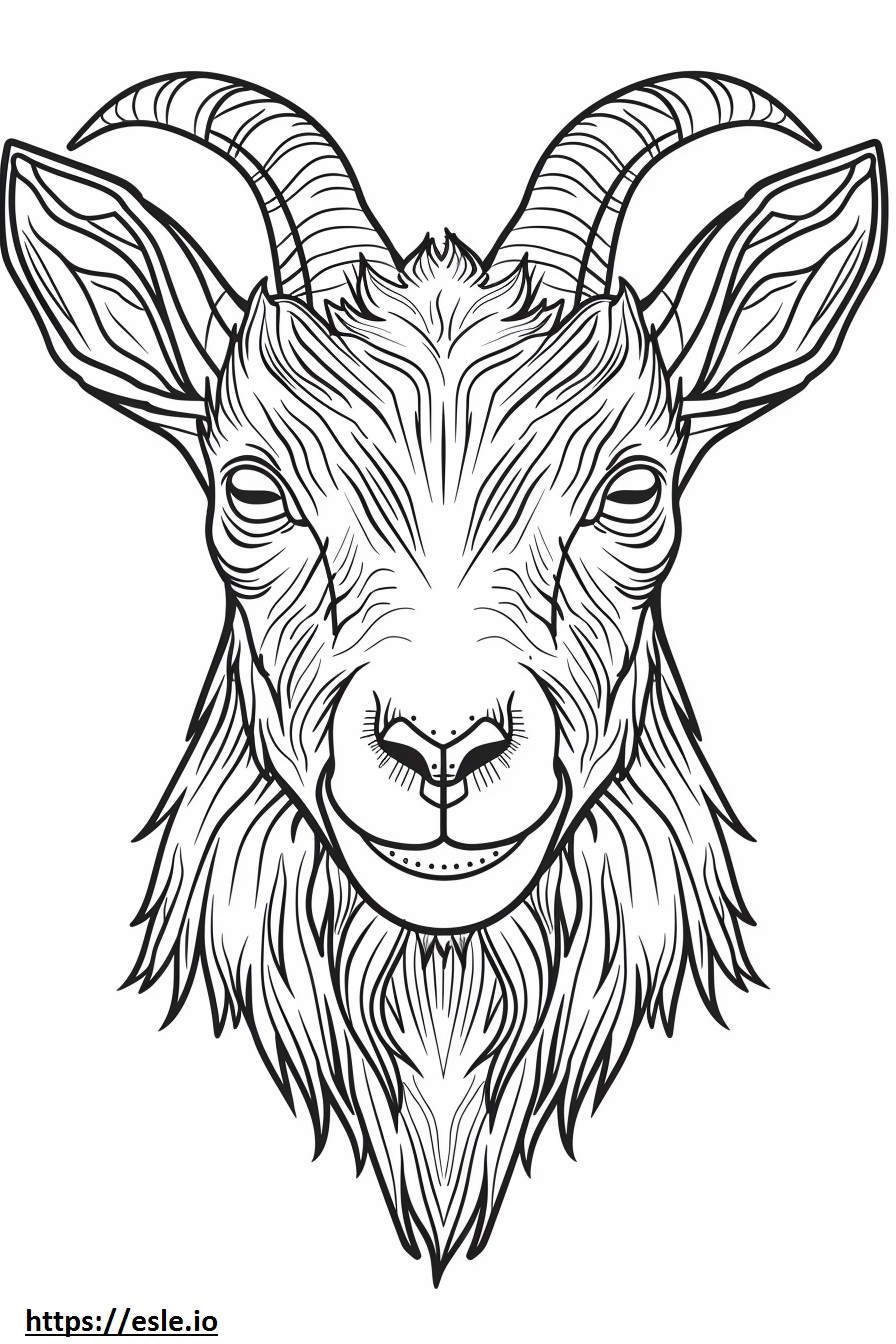Cara de cabra alpina para colorir