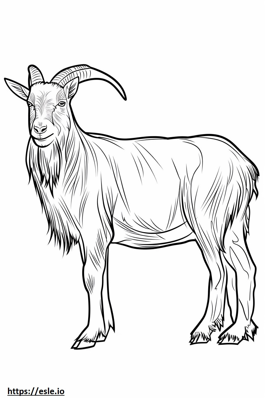 Alpine Goat full body coloring page