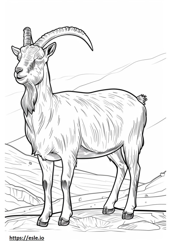 Alpine Goat koko vartalo värityskuva