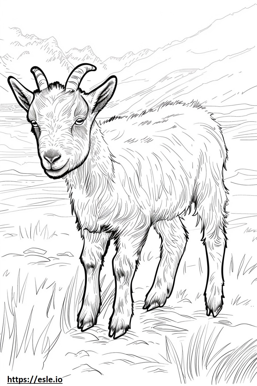 Pui de capră alpină de colorat