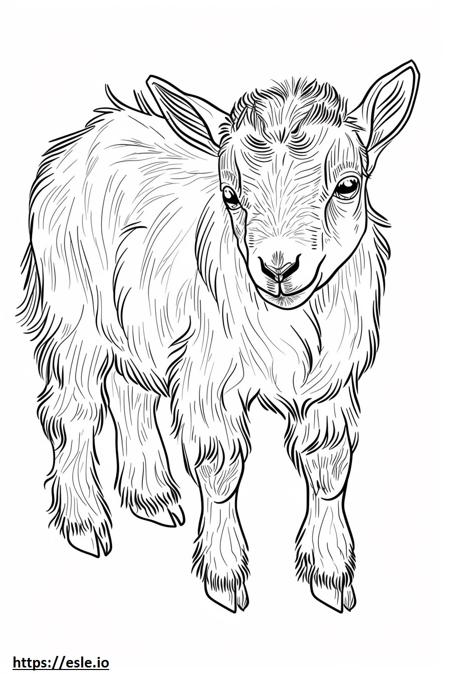 Alpine Goat baby coloring page