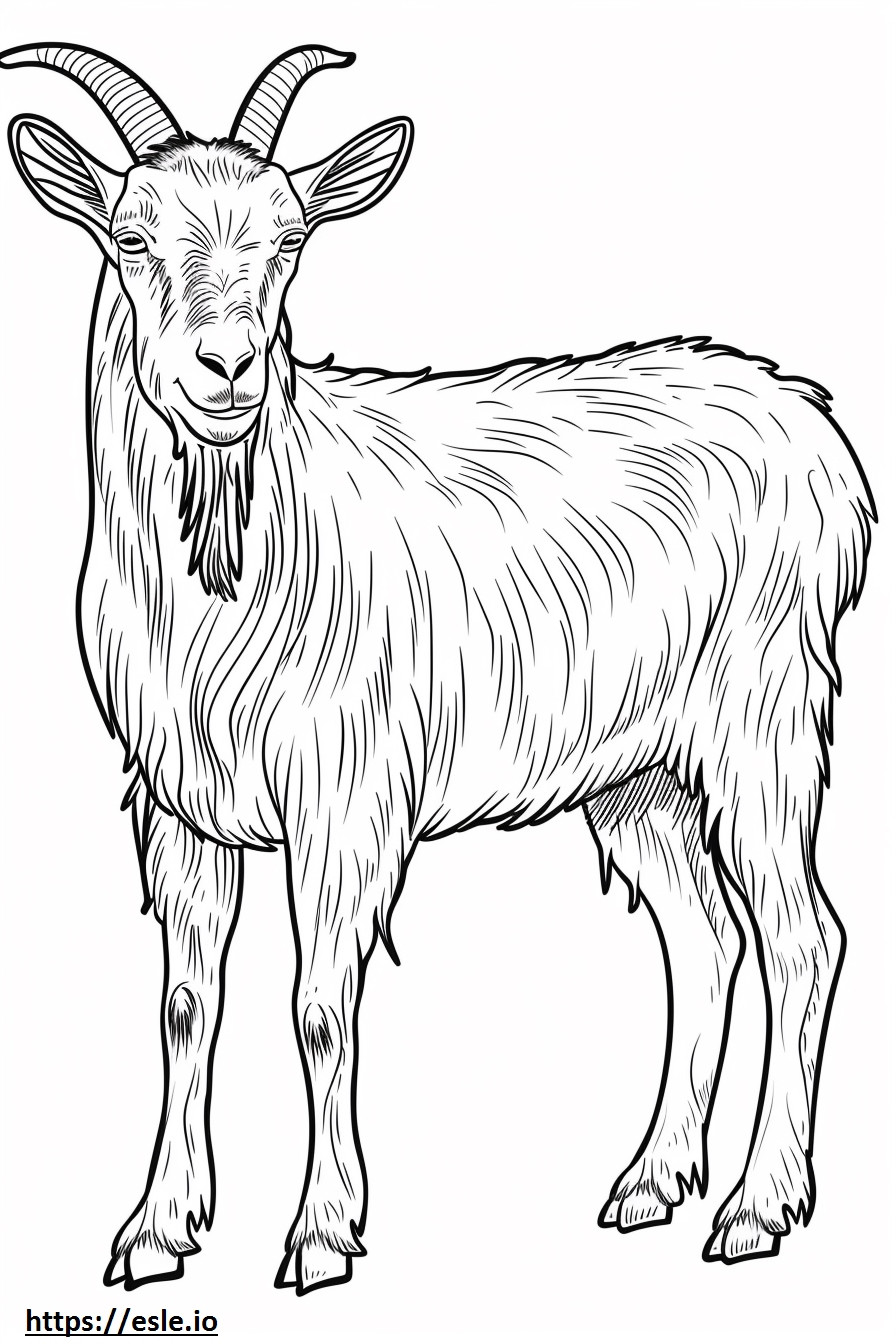 Desenho de cabra alpina para colorir