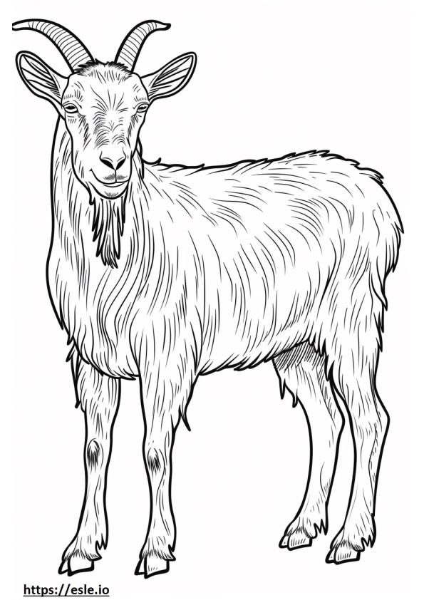 Coloriage Caricature de chèvre alpine à imprimer