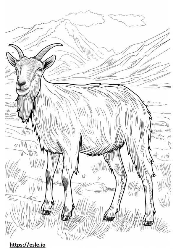 Carica animată cu capră alpină de colorat