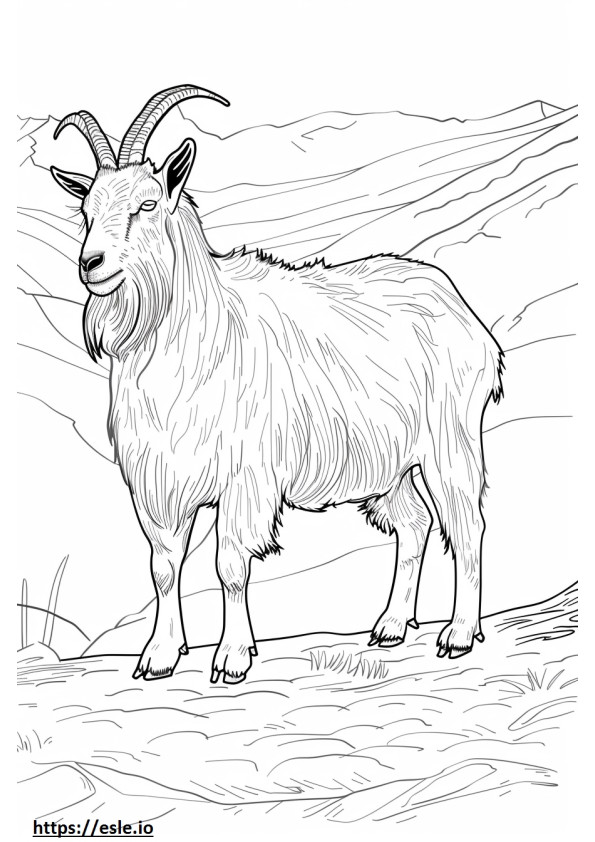 Alp keçisi karikatür boyama