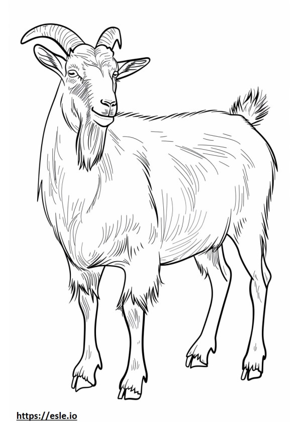 Alpejska koza śliczna kolorowanka