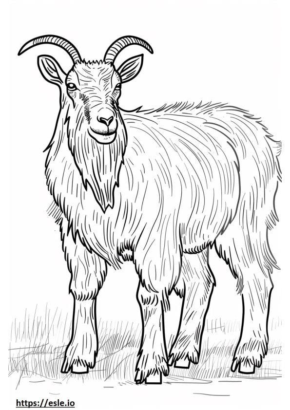 Alpine Goat cute coloring page