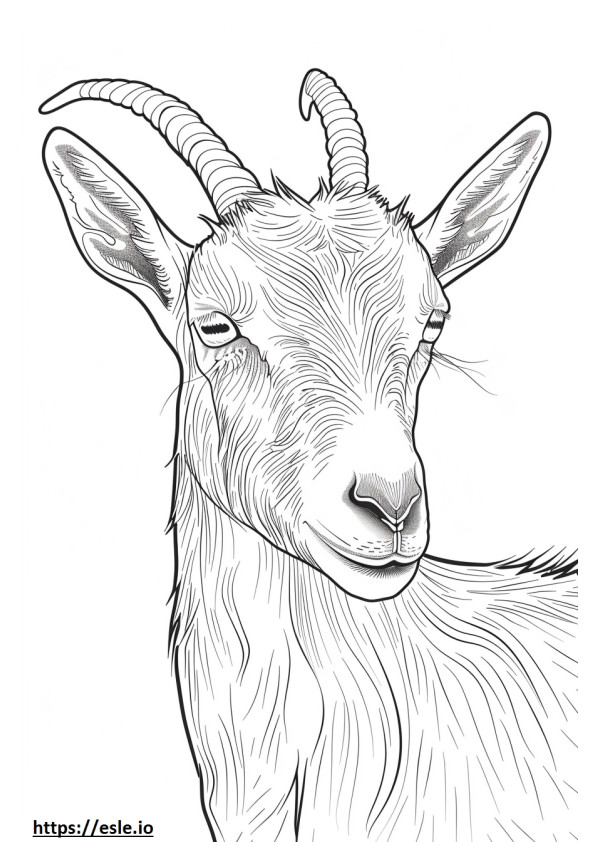 Alpine Goat cute coloring page