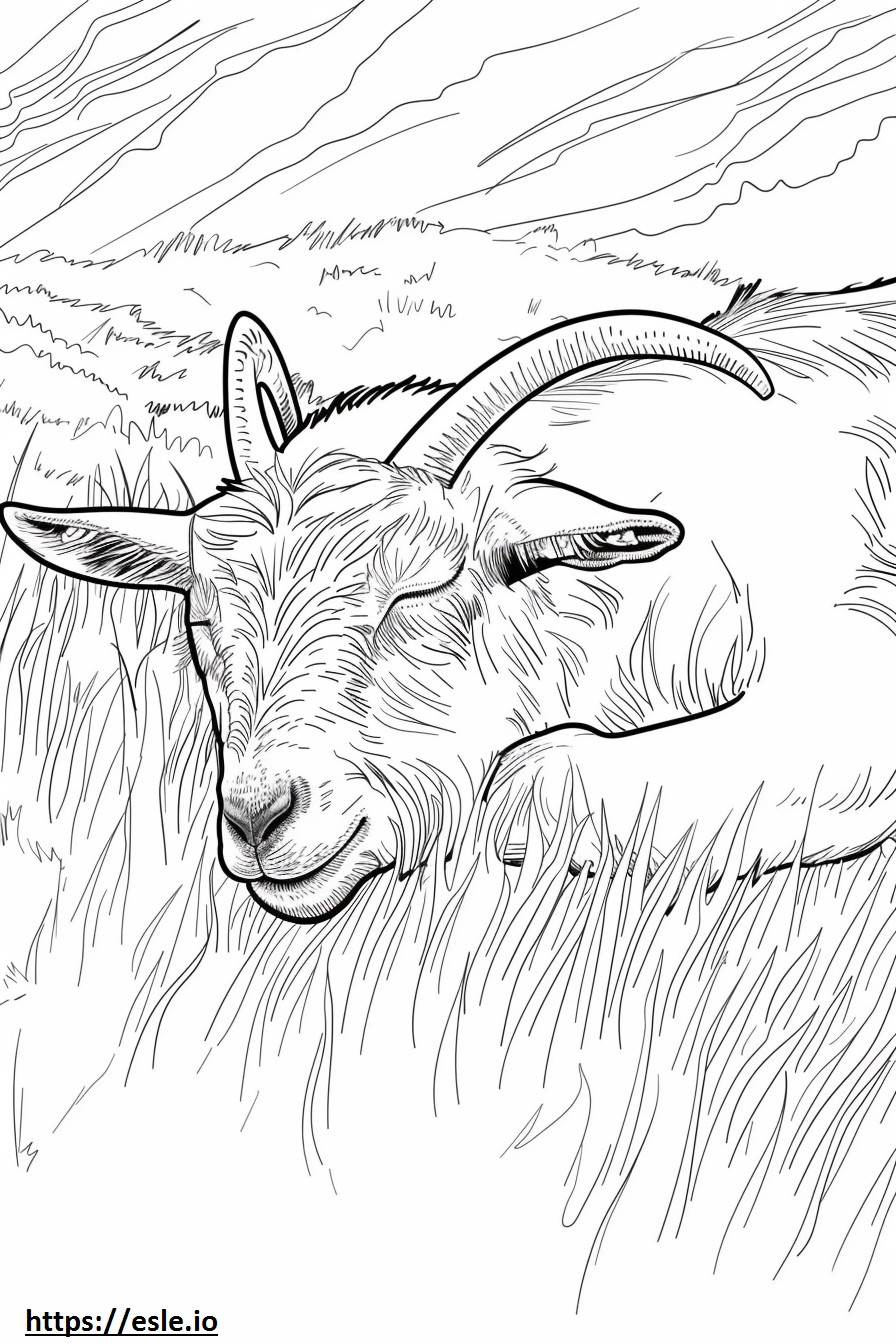 Alpine Goat Sleeping coloring page