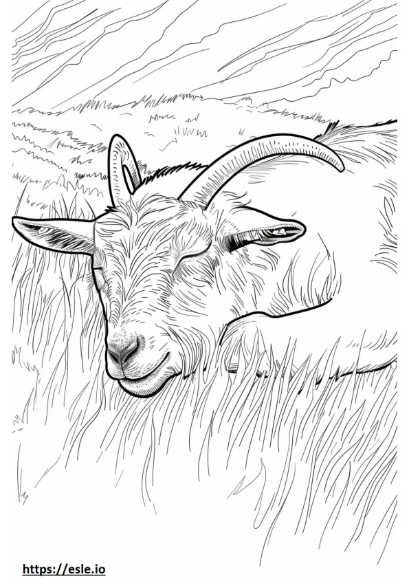 Coloriage Chèvre alpine dormant à imprimer