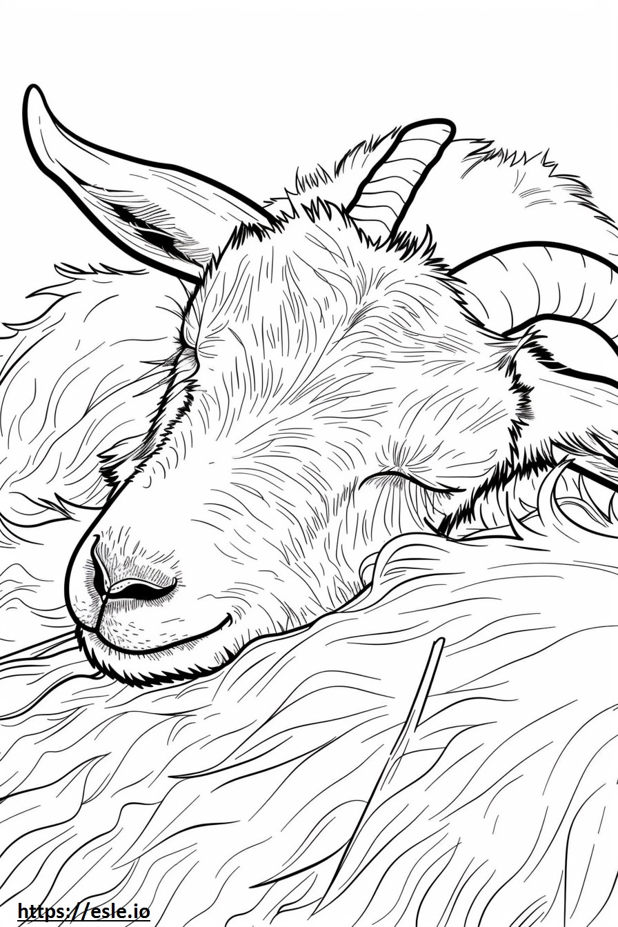 Cabra alpina durmiendo para colorear e imprimir