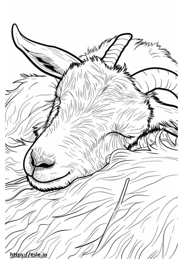 眠るアルプスヤギ ぬりえ - 塗り絵