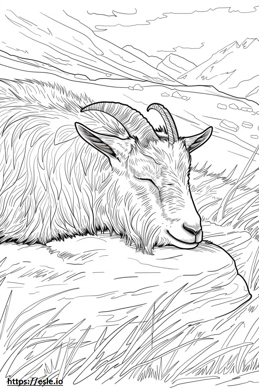 Sonno di capra alpina da colorare