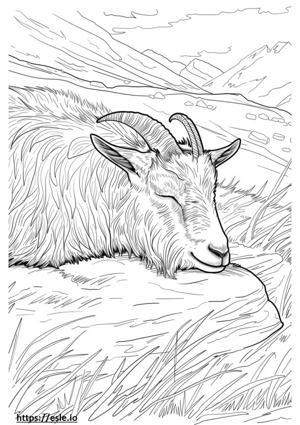 Cabra alpina durmiendo para colorear e imprimir