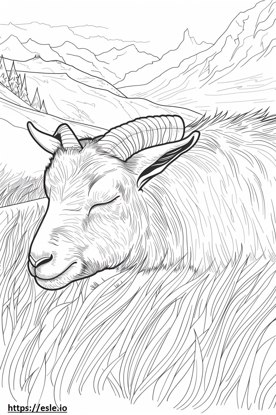Sonno di capra alpina da colorare
