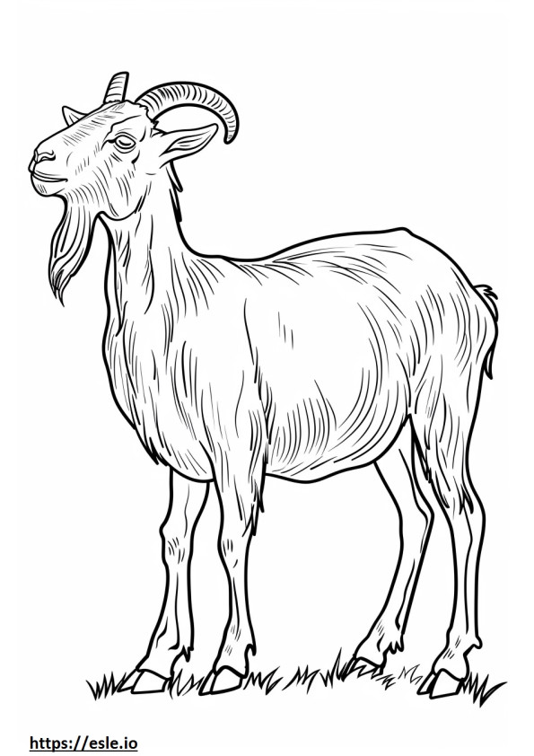 Alpine Goat Playing coloring page