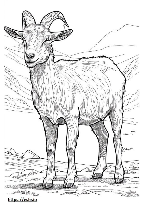 Apto para cabras alpinas para colorear e imprimir