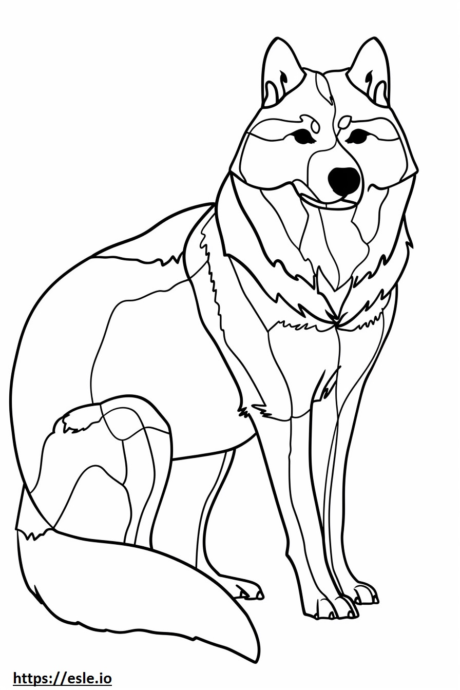 Alusky full body coloring page