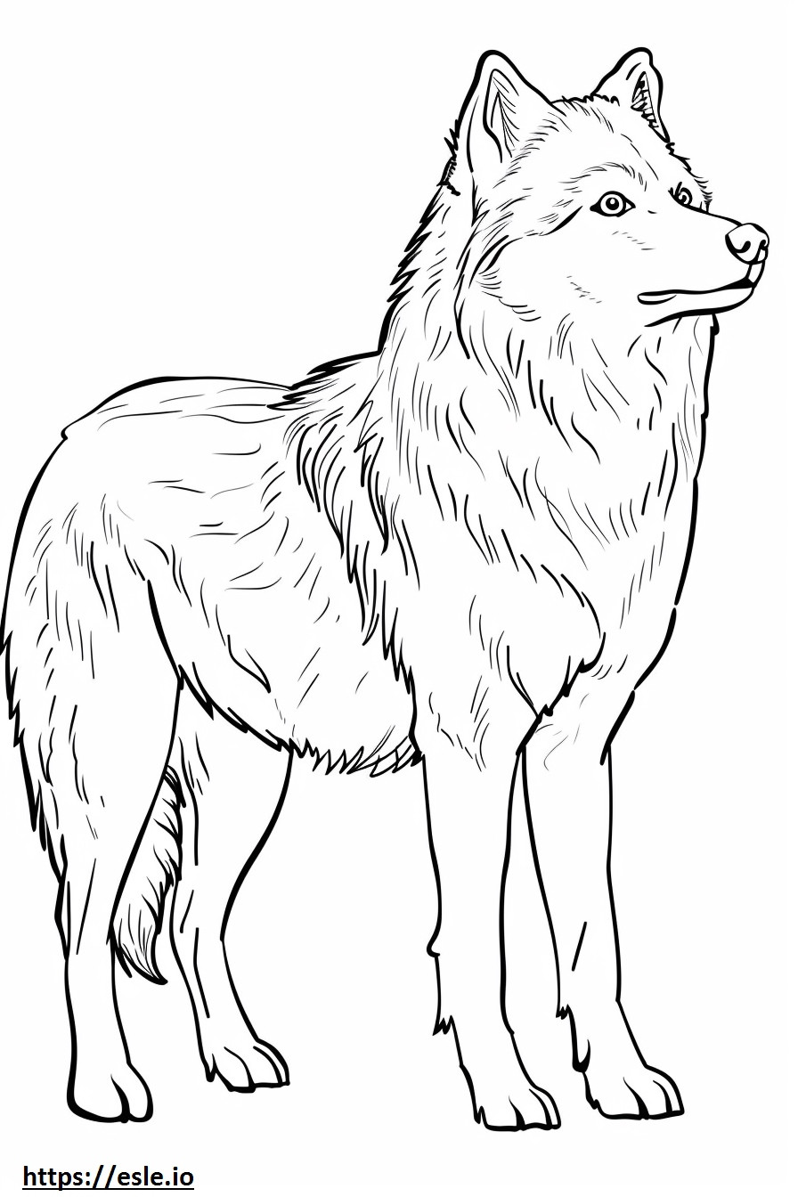 Alusky full body coloring page