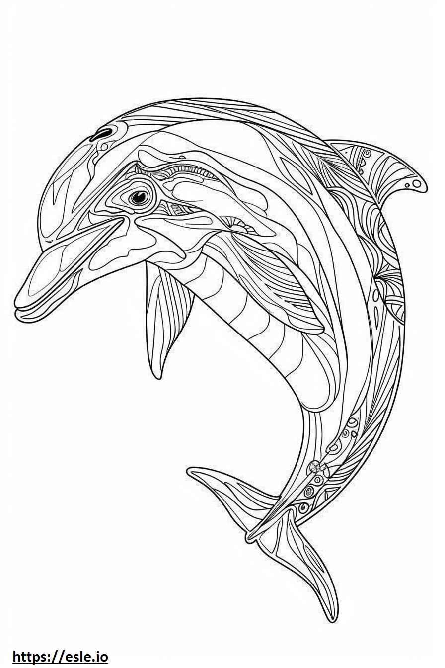 Twarz delfina amazońskiego (różowego delfina). kolorowanka