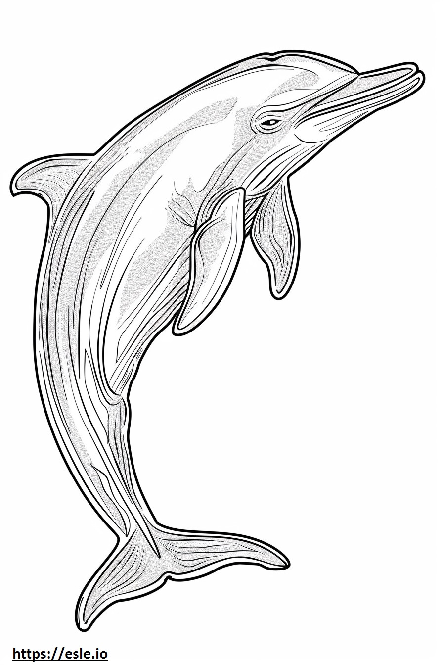 Delfín de Río Amazonas (Delfín Rosado) cuerpo completo para colorear e imprimir