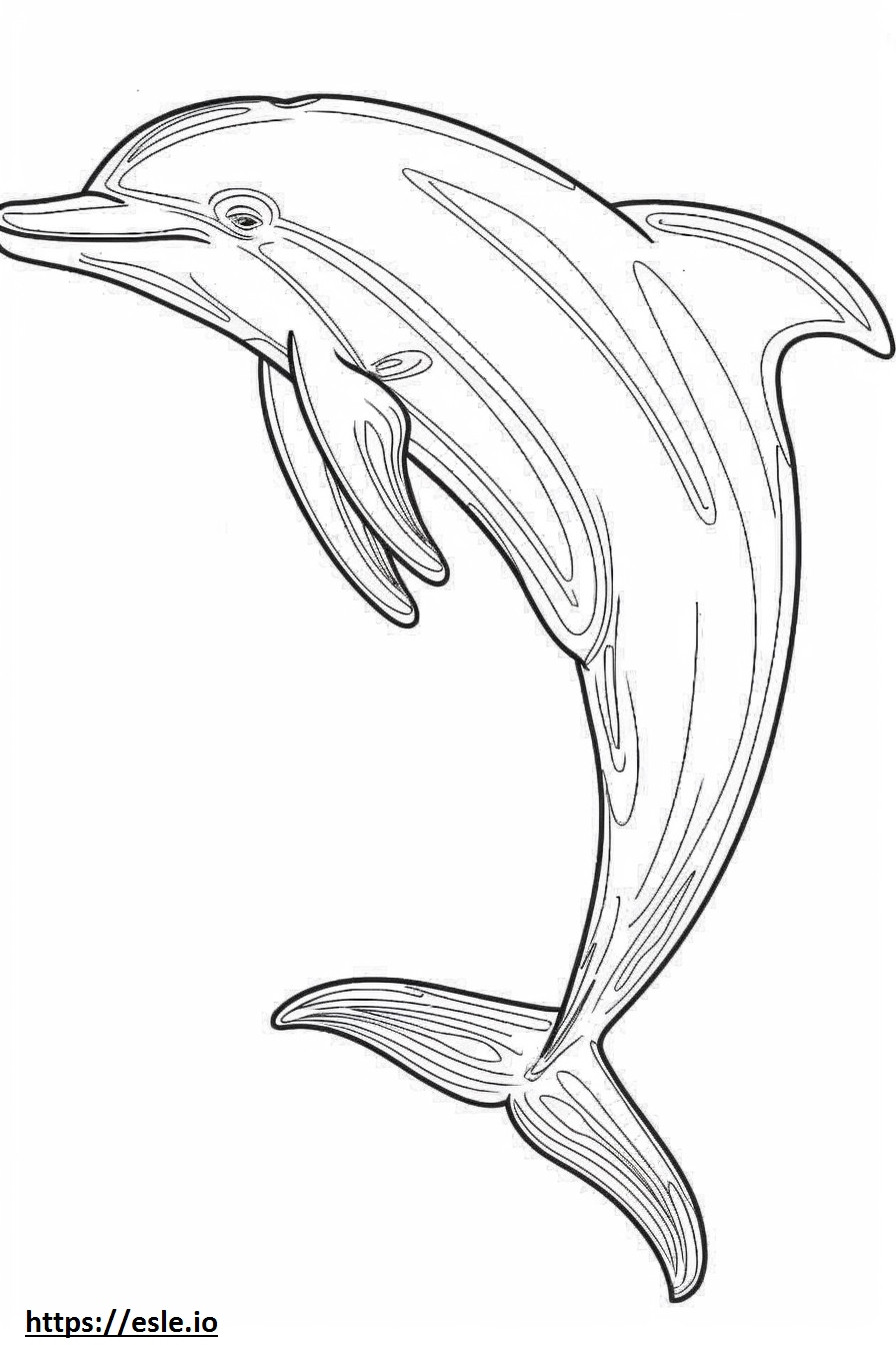 Ganzkörper-Amazonas-Flussdelfin (Rosa Delfin). ausmalbild
