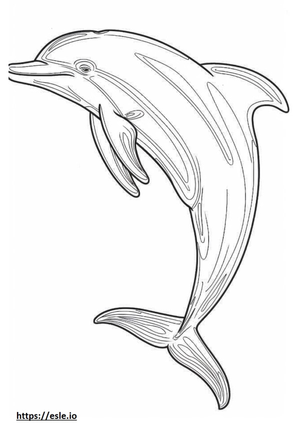 Delfino del Rio delle Amazzoni (delfino rosa) a corpo intero da colorare