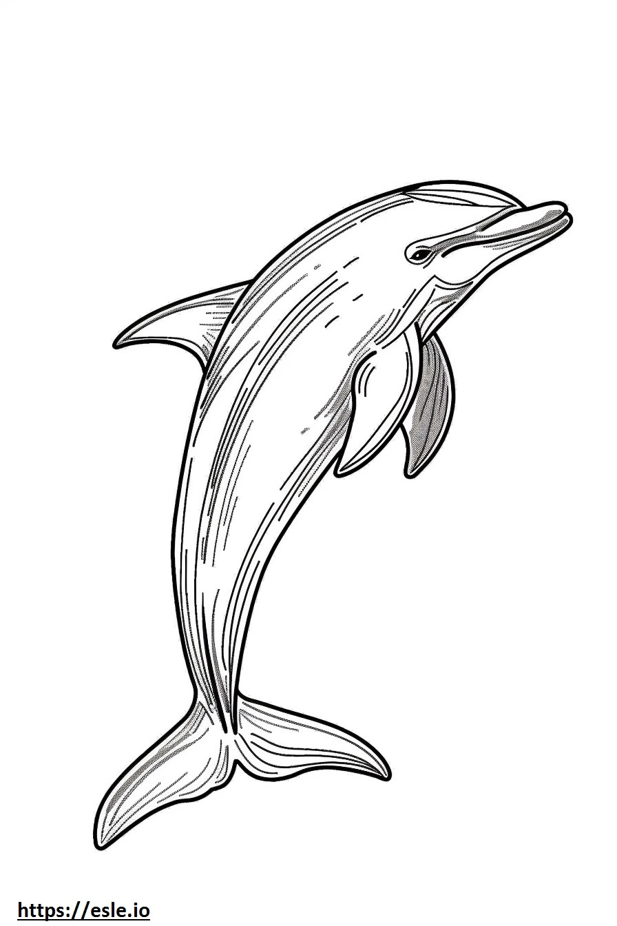 Ganzkörper-Amazonas-Flussdelfin (Rosa Delfin). ausmalbild