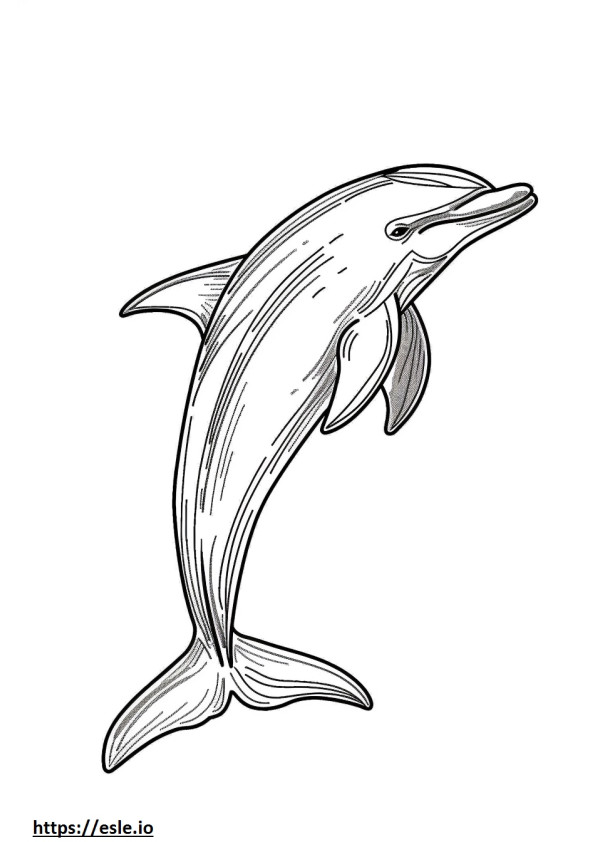 Delfino del Rio delle Amazzoni (delfino rosa) a corpo intero da colorare