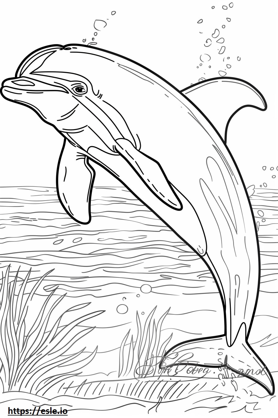 Bayi Lumba-lumba Sungai Amazon (Lumba-lumba Merah Muda). gambar mewarnai