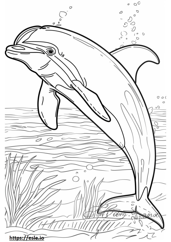 Amazon River Dolphin (Pink Dolphin) baby coloring page