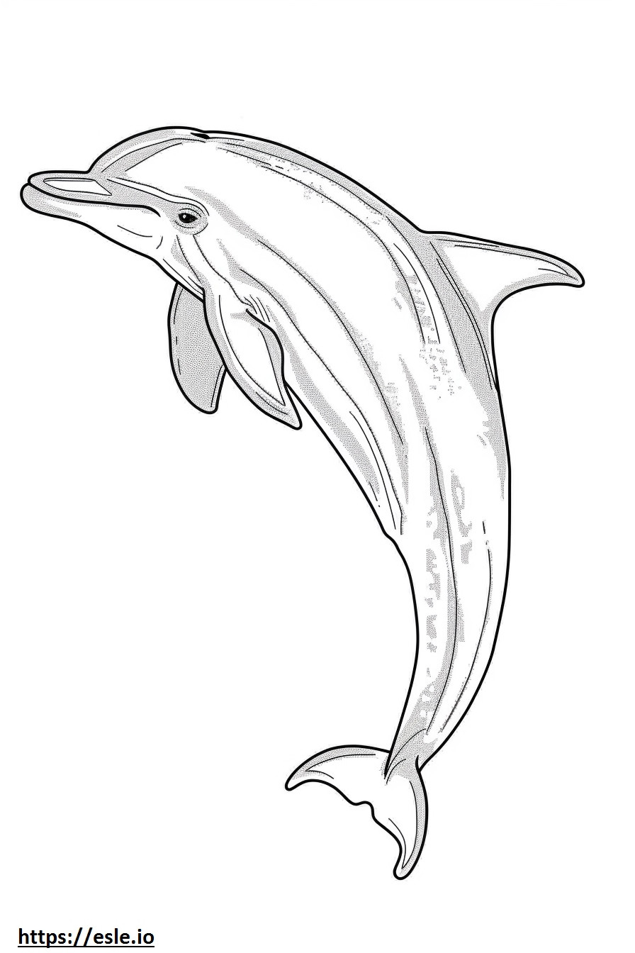 Dziecko delfina amazońskiego (różowego delfina). kolorowanka