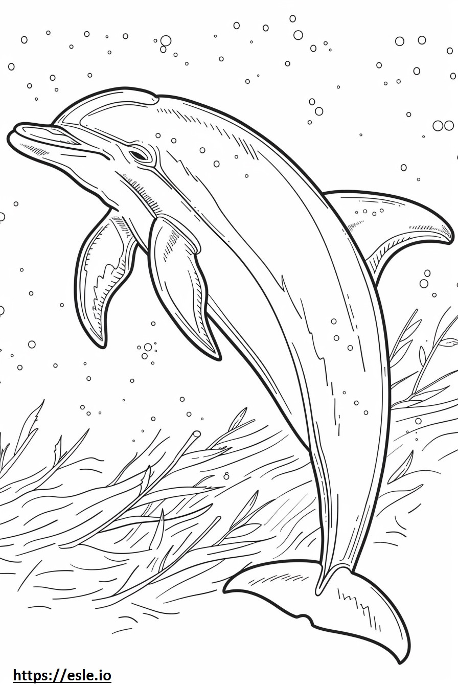 Emoji de sorriso de golfinho do rio Amazonas (golfinho rosa) para colorir
