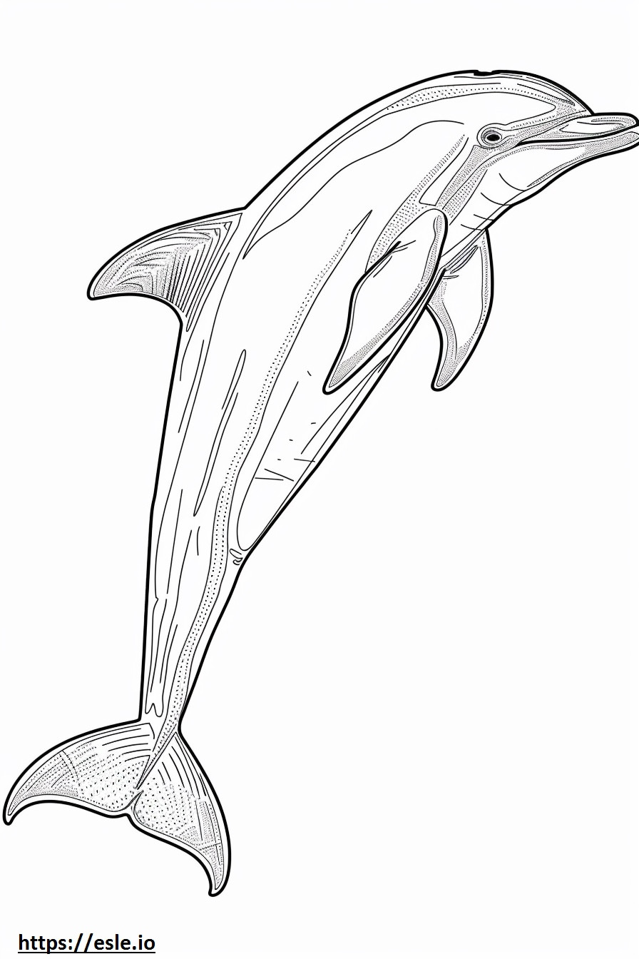 Coloriage Dessin animé du dauphin du fleuve Amazone (dauphin rose) à imprimer