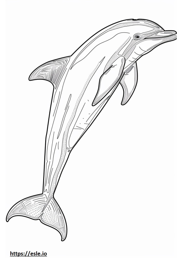 Carica animată cu delfinul râului Amazon (delfinul roz). de colorat