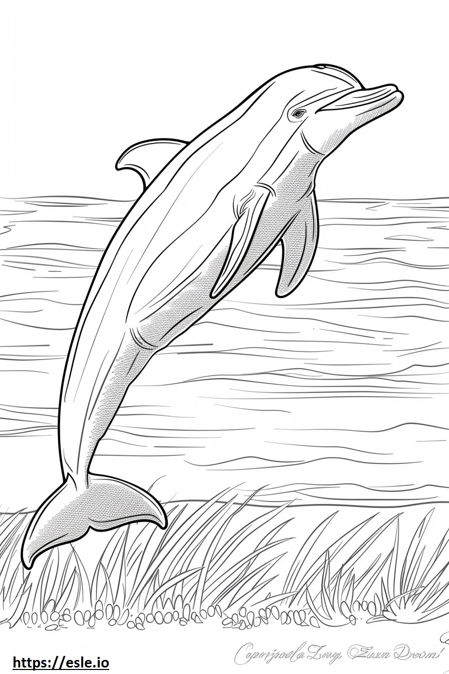 Amazon River Dolphin (Pink Dolphin) sarjakuva värityskuva