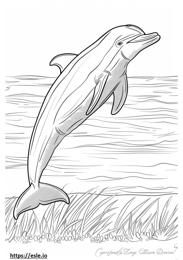 Amazon River Dolphin (Pink Dolphin) sarjakuva värityskuva
