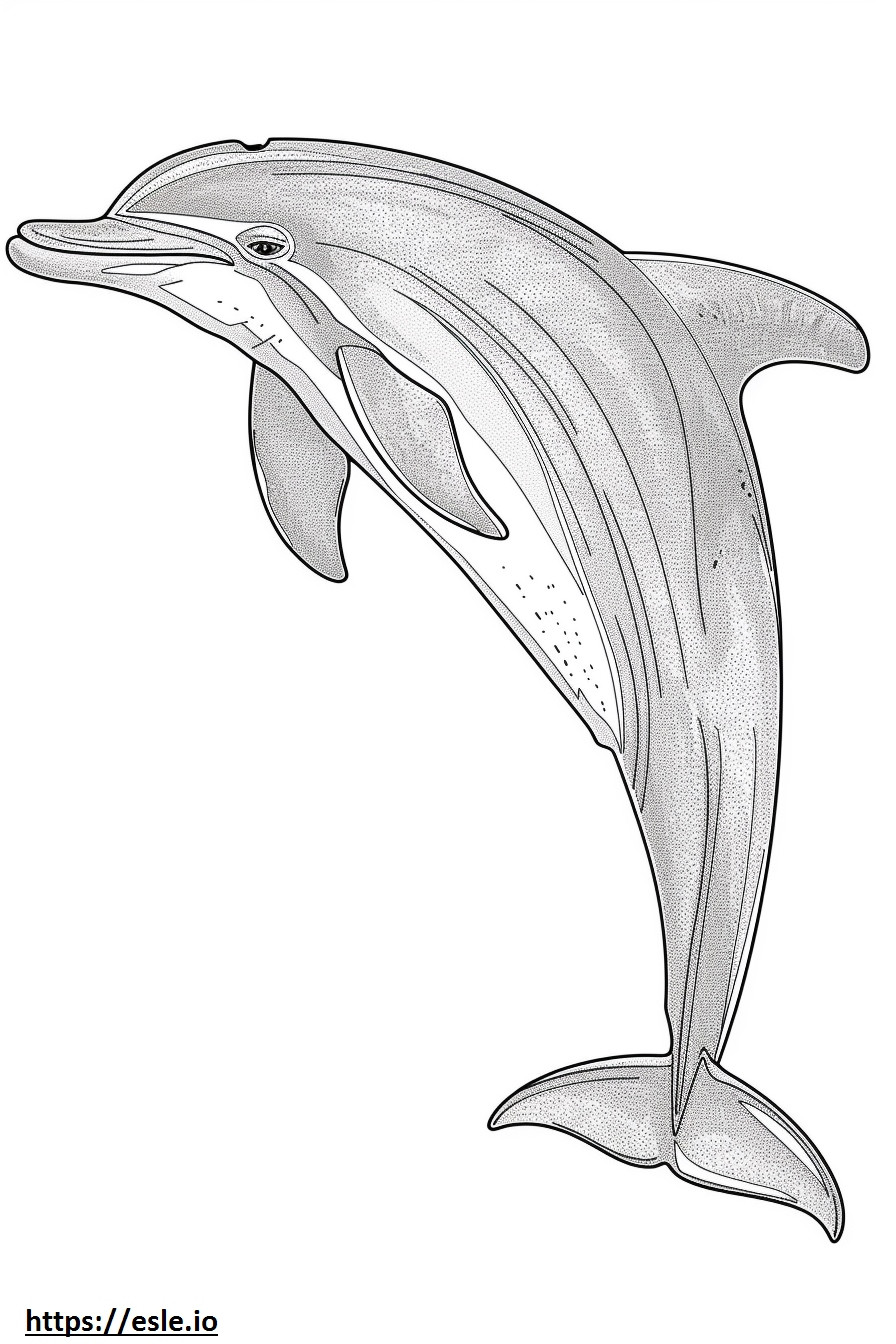 Coloriage Dessin animé du dauphin du fleuve Amazone (dauphin rose) à imprimer