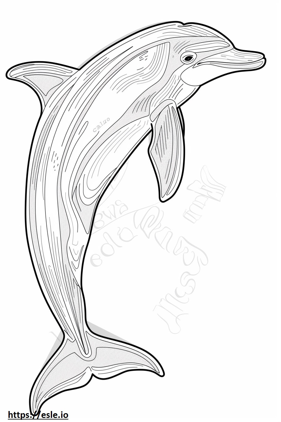 Amazon River Dolphin (roze dolfijn) cartoon kleurplaat kleurplaat