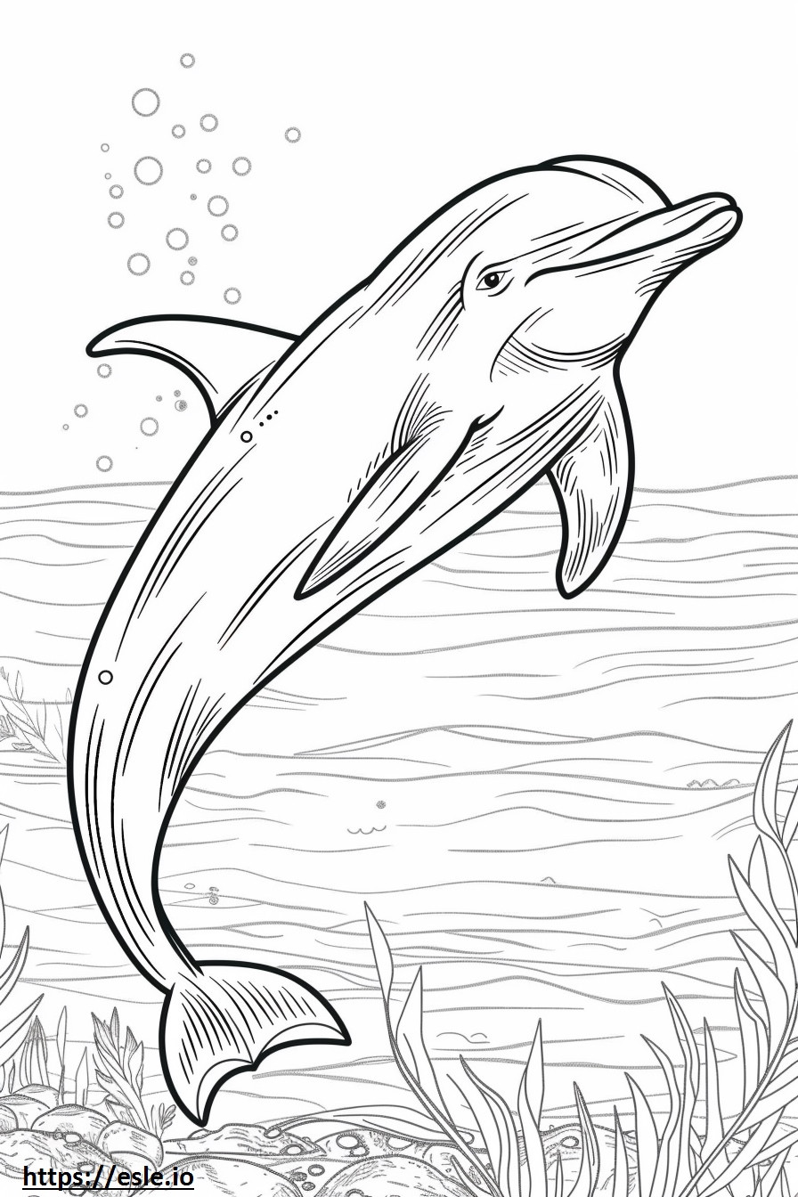 Amazon River Dolphin (Pink Dolphin) cute coloring page